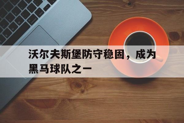 沃尔夫斯堡防守稳固，成为黑马球队之一的简单介绍